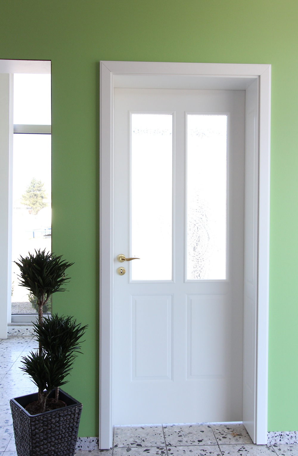 Tür mit zwei Glaseinsätzen in einer grünen Wand